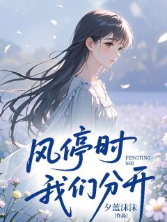 (独家)风停时我们分开席今安江诗语陈言希小说-欧迈阅读网