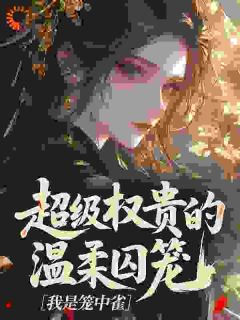 小说超级权贵的温柔囚笼，我是笼中雀主角为姜晚婳萧妄玦免费阅读