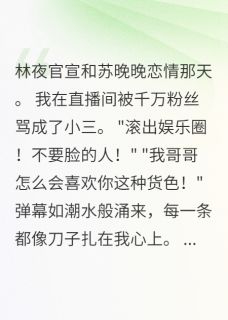 (全本)顶流官宣后,我晒出三年结婚证主角林夜梦梦苏晚晚全文目录畅读-欧迈阅读网