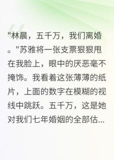 豪门前夫转走三千万当天我破产了(苏雅江明)最新章节试读