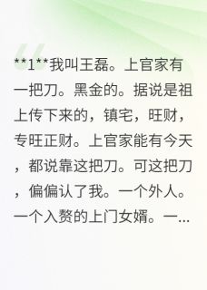 快手黑金刀鸣小说全本章节大结局-欧迈阅读网