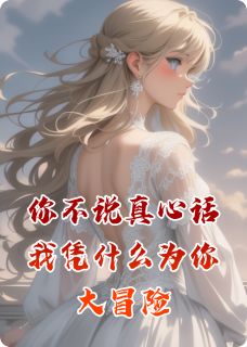 老书虫书荒推荐你不说真心话我凭什么为你大冒险txt小说阅读