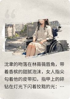 抖音完结第五年的退票苏晚沈聿顾晏辰(全文在线阅读)