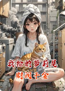 我捡的萝莉是财阀千金在线阅读 苏糖苏董林默免费小说精彩章节