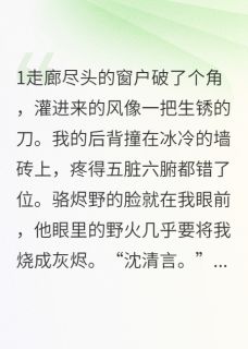 独家月落时吻你小说-主角骆烬野林宇泽沈清言全文免费阅读-欧迈阅读网