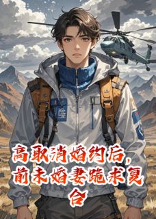 【高取消婚约后,前未婚妻跪求复合】主角(林薇王鹏)在线阅读-欧迈阅读网
