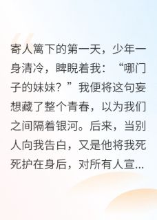 主角傅时屿苏念小说完整版最新章节-念念不屿免费阅读全文