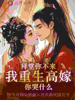 独家高嫁后,那位渣男已被我虐疯全本大结局小说阅读