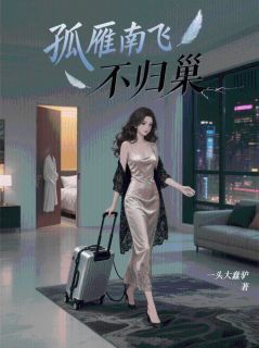 沈书珩周雁棠全章节阅读-孤雁南飞不归巢全文分享阅读-欧迈阅读网