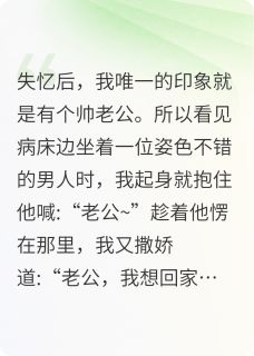 好文热推小说失忆后，找个帅哥当老公主角沈郁南齐远新全文在线阅读