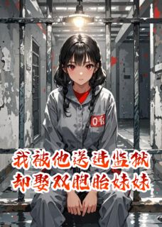 百度贴吧小说我被他送进监狱却娶双胞胎妹妹，主角陈夜苏晴全文免费