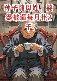 孙子随母姓,婆婆被逼每月补2千小说百度云完整章节列表免费阅读-欧迈阅读网