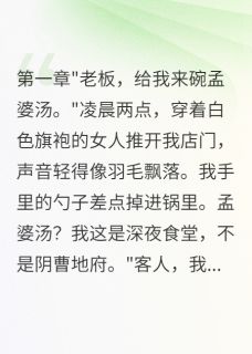 热文深夜食堂里的秘密客人小说-主角王安小雨全文在线阅读-欧迈阅读网