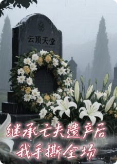 继承亡夫遗产后我手撕全场小说百度云完整章节列表免费阅读