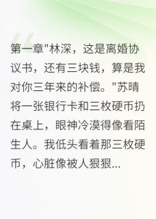 书荒必备苏晴林浩林深小说