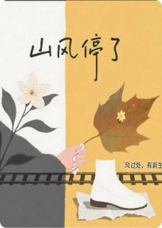 粉萌兔的小说山风停了主角是晓燕念念王强