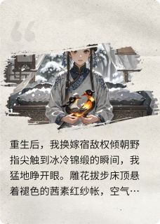 重生后,我换嫁宿敌权倾朝野章节全目录 裴衍谢云州林晚意全文免费阅读-欧迈阅读网