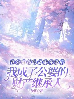 王琴张恩老公骗我假离婚死遁后，我成了公婆的财产继承人完结版小说全文免费阅读