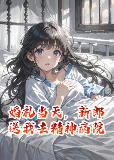 老书虫力荐婚礼当天,新郎送我去精神病院免费无弹窗阅读