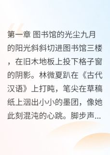 林微夏沈念舟小说最后结局 林微夏沈念舟完结版免费阅读