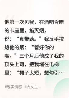 都市情焰：直球交锋大结局阅读 沈铮林薇小说在线章节