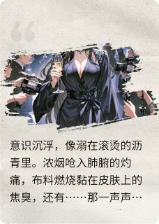 主角沈明远林晚舟顾沉的小说作者句号乌鸦