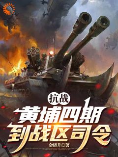 抗战:黄埔四期到战区司令章节目录小说-秦景安唐孟潇免费阅读全文