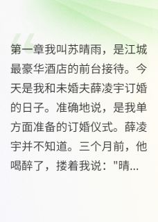 (精品)总裁失忆后对我动心了小说