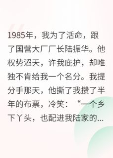 爆款小说八零厂长的金丝雀跑路,他悔疯了主角陆振华陆建军全文在线完本阅读-欧迈阅读网