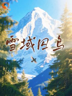 叶心心丹增晋美小说(丹增叶心心陈阳)_叶心心丹增晋美小说最新章节