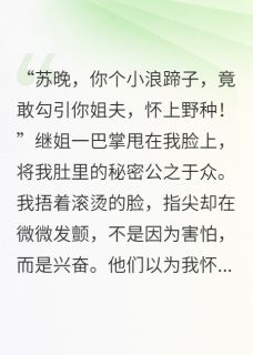 陆长风陈秀娥苏红是哪本小说主角 七零之新婚夜：我笑他，生三胎免费全章节阅读