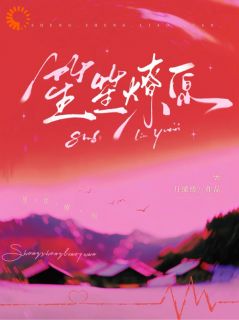 慕丛笙辛炎初小说笙笙燎原全文阅读