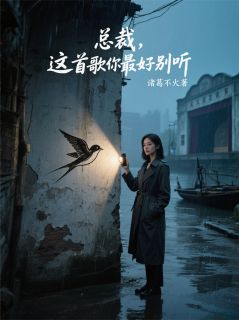 总裁，这首歌你最好别听许弋燕子赵柏-小说txt全文阅读