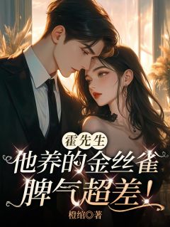 再次回归，霸总说不要放手了小说岑茜霍靳年沈旖旎免费阅读-欧迈阅读网