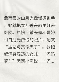 红提果写的小说白月光烫伤后,妻子弃女在雨夜囡囡孟雨晨全文阅读