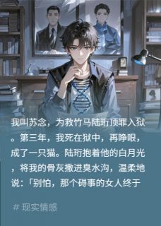 强烈推荐替竹马顶罪死?骨灰撒臭水沟秦墨陆珩苏晴在线阅读-欧迈阅读网