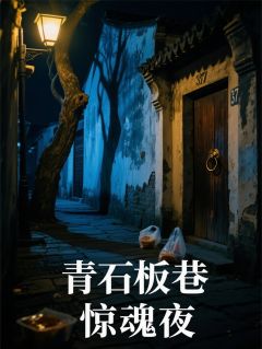 青石板巷惊魂夜小说最后结局,苏念林薇赵伯百度贴吧小说全文免费