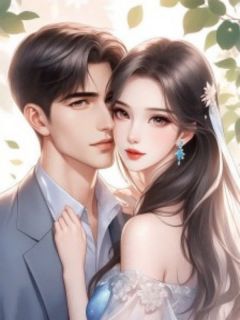 婚礼前夜我害了老公和妈妈未删减阅读-欧迈阅读网