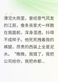 全章节小说喊我灭火器后,我烧了他整个公司爱吃鸡脖子的新最新阅读