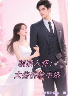 苏念沈聿白完整版暖阳入怀:大佬的掌中娇全文最新阅读