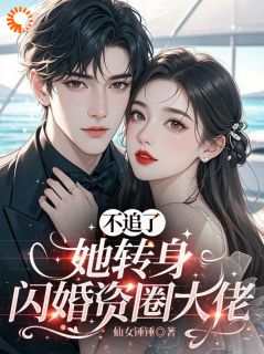 不追了,她转身闪婚资圈大佬小说(完结版)-江映晚厉承御在线阅读