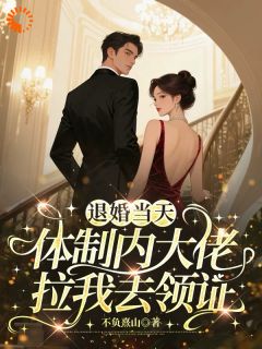 主角舒窈蒋庭洲小说，退婚当天，体制内大佬拉我去领证免费阅读全文