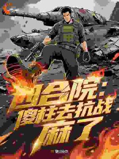 抖音爆款四合院:傻柱去抗战,首长麻了完整小说(全文阅读)