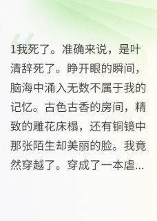 重生豪门后我专治各种不服沈墨轩苏婉儿叶清辞小说完整在线阅读-欧迈阅读网