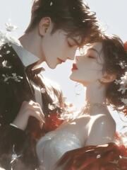 好书推荐丈夫带着白月光进城后却后悔了周青周宇许月月全文在线阅读