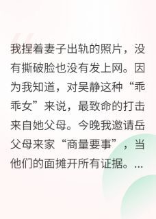 小说出轨证据，我只给她爸妈看主角为吴静张爱珍免费阅读