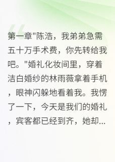 新娘婚礼当天又要五十万给他弟林雨薇苏晓雪陈浩小说全章节最新阅读-欧迈阅读网