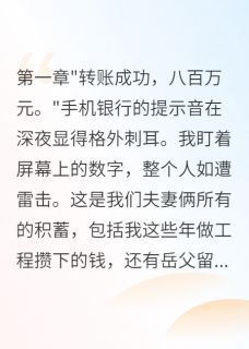 苏晴苏磊李志强发现妻子转八百万给弟弟我离婚了完结版小说全文免费阅读-欧迈阅读网