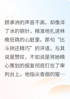 深夜对峙：废墟上的心跳(林晚顾承洲)全文完整版阅读