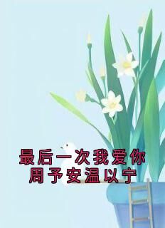 周予安温以宁最后一次我爱你周予安温以宁小说完整版